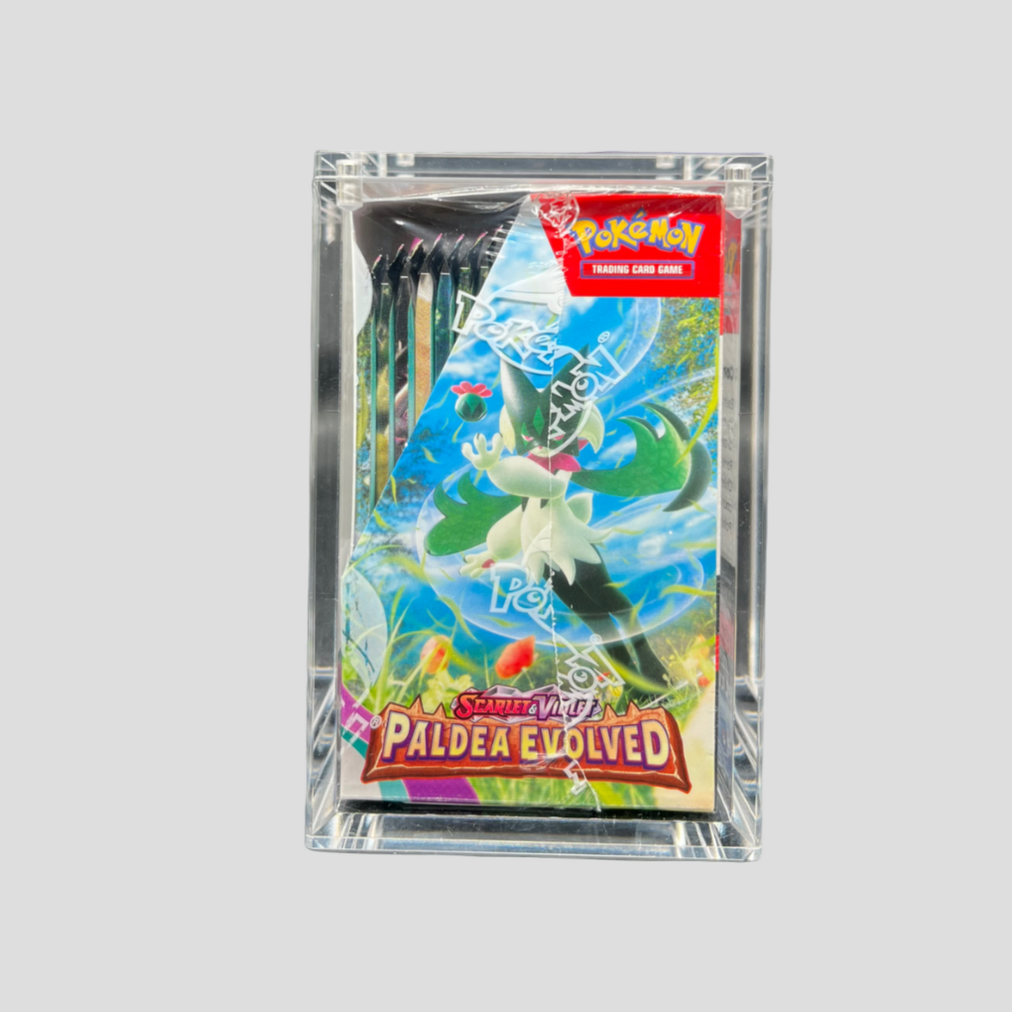 Premium Acryl Case für Pokémon 36er Display – Magnetverschluss & UV-Schutz