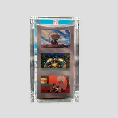 Premium Acryl Case für Pokémon Koreanisches 30er Display – Magnetverschluss & UV-Schutz